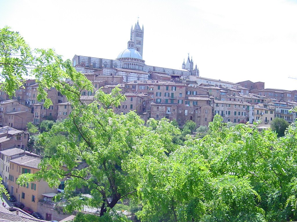DSC00066.JPG